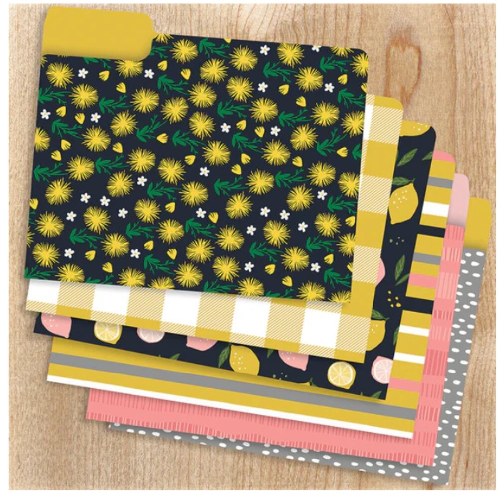 TF Publishing Joy Designer Set of 12 Decorative File Folders